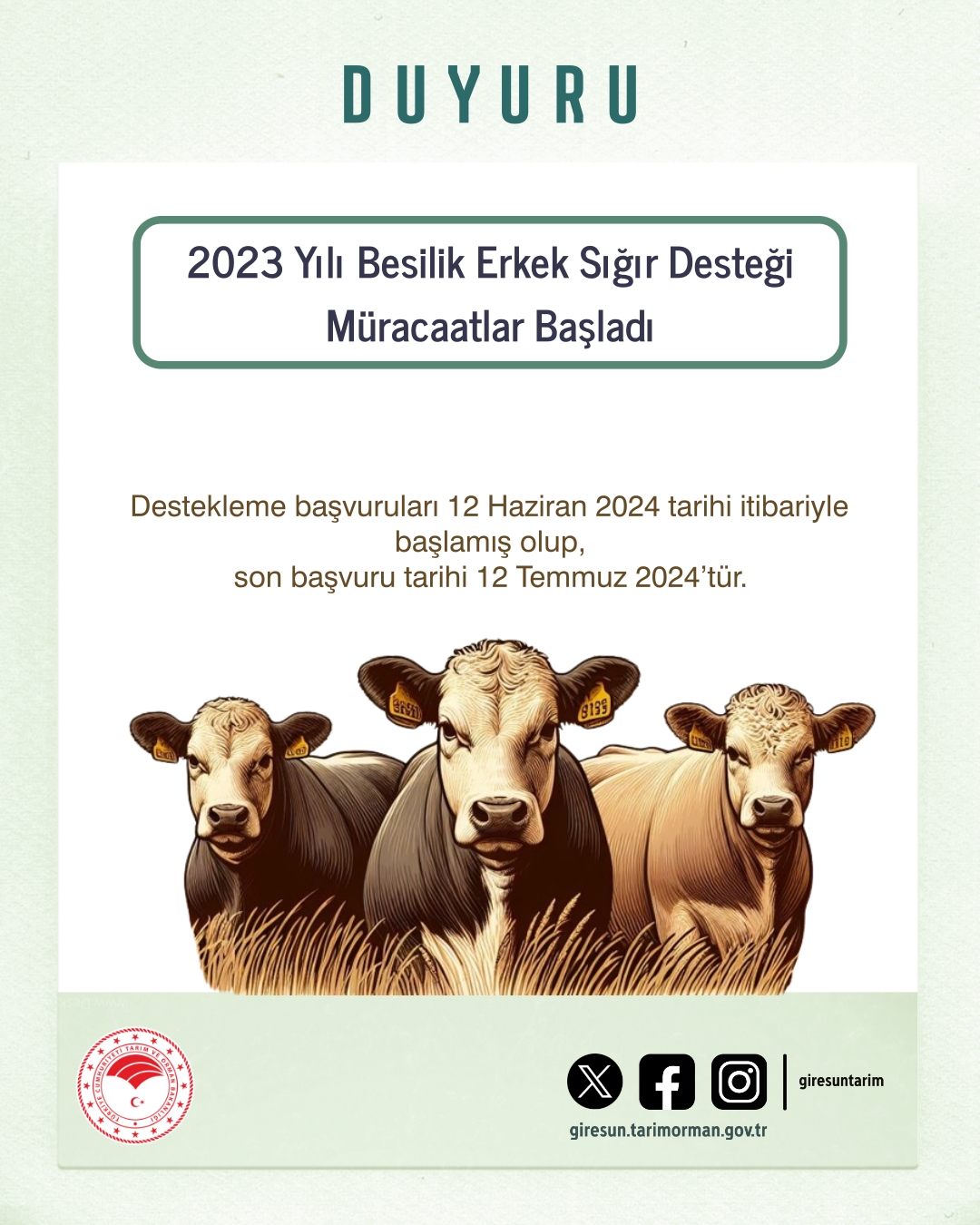  2023 Yılı Besilik Erkek Sığır Desteği Müracaatlar Başladı