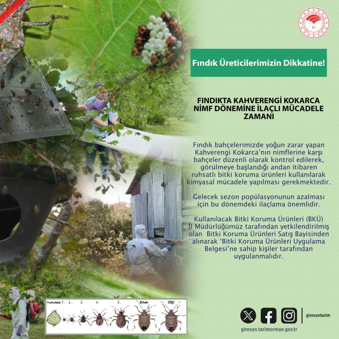 Fındık Üreticilerimizin Dikkatine!