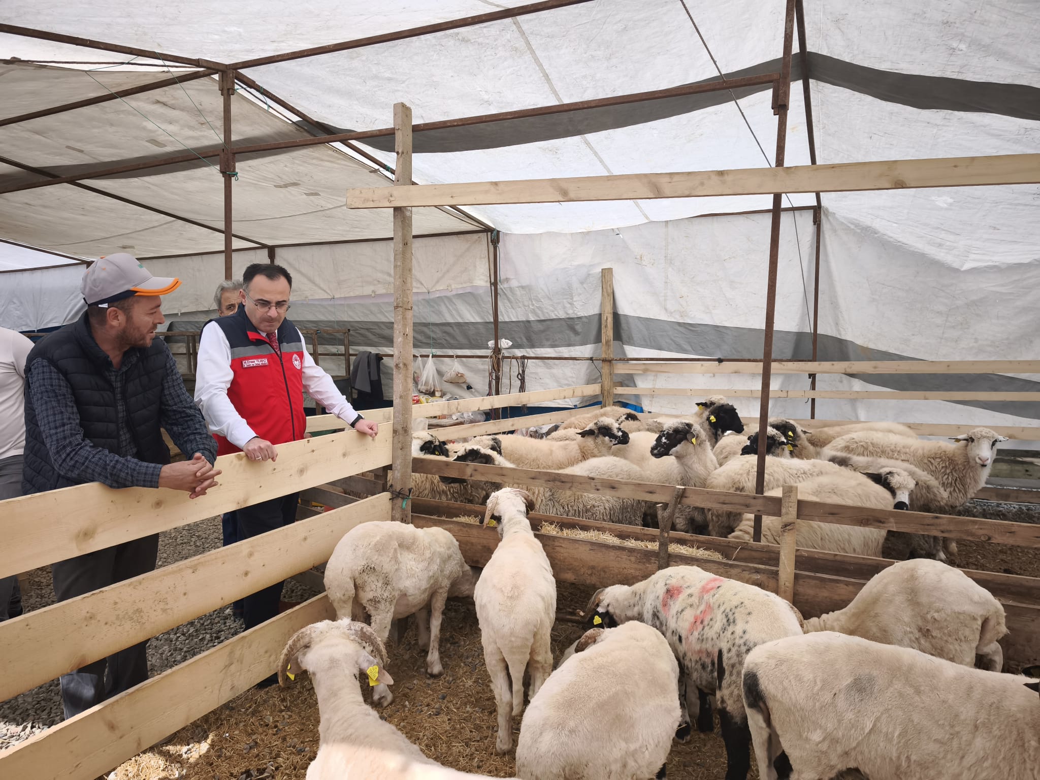 İl Müdürü Yılmaz Kurban Satış Yeri Denetimine Katıldı