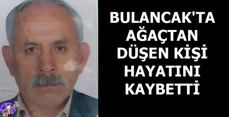 Bulancakta ağaçtan düşen kişi hayatını