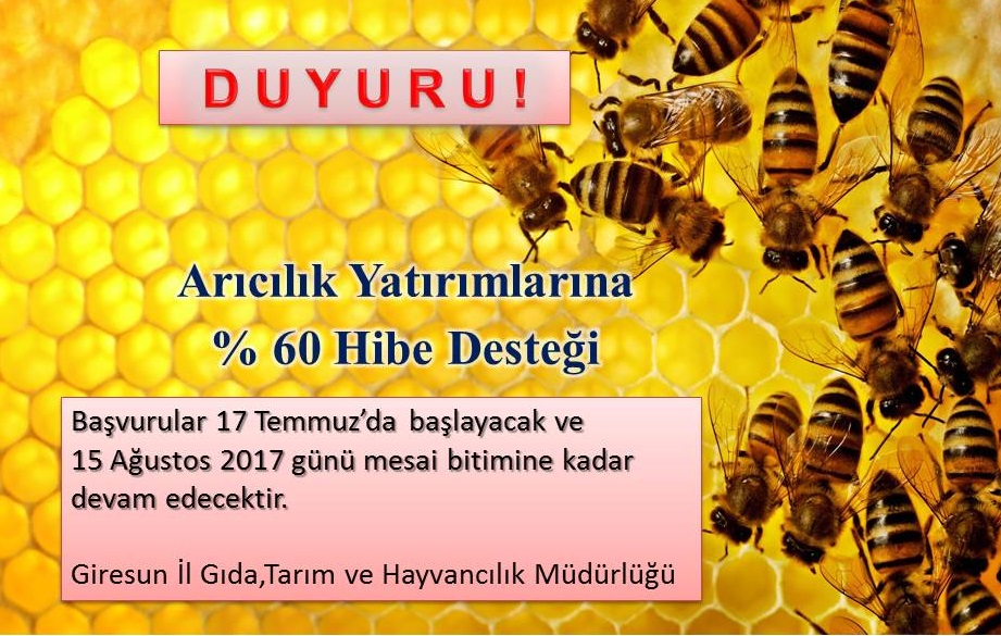 Arıcılık Yatırımlarına %60 Hibe