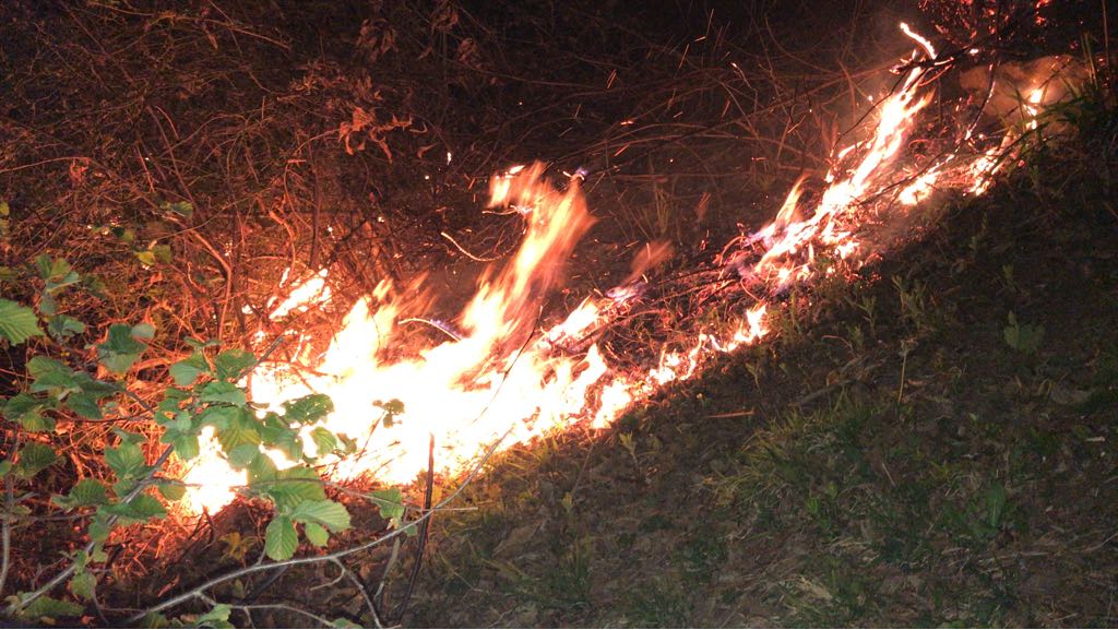 Orman Yangınlarıyla (23.03.2018) İlgili Bilgi