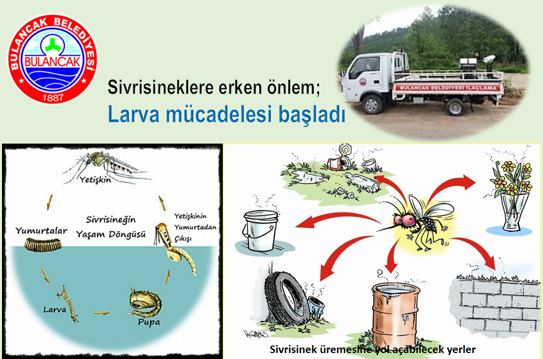 Sivrisineklere Erken Önlem Larva Mücadelesi