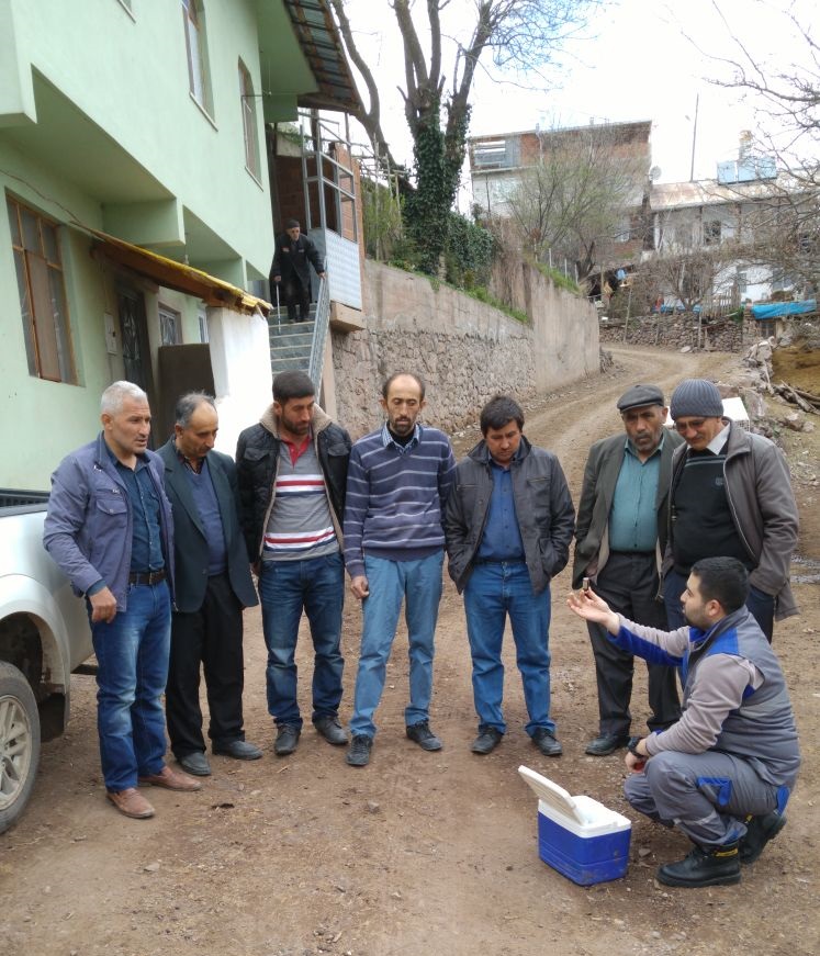 Şebinkarahisar’da Buzağı Sağlığı Projesi Çalışmaları Devam