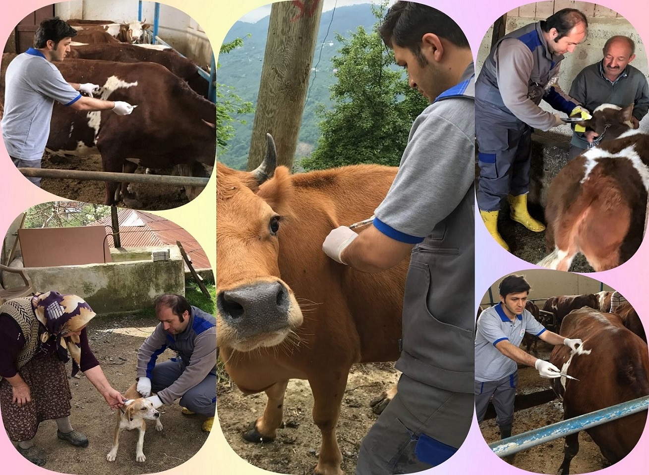 Sonbahar Dönemi Aşılama Kampanyaları Devam