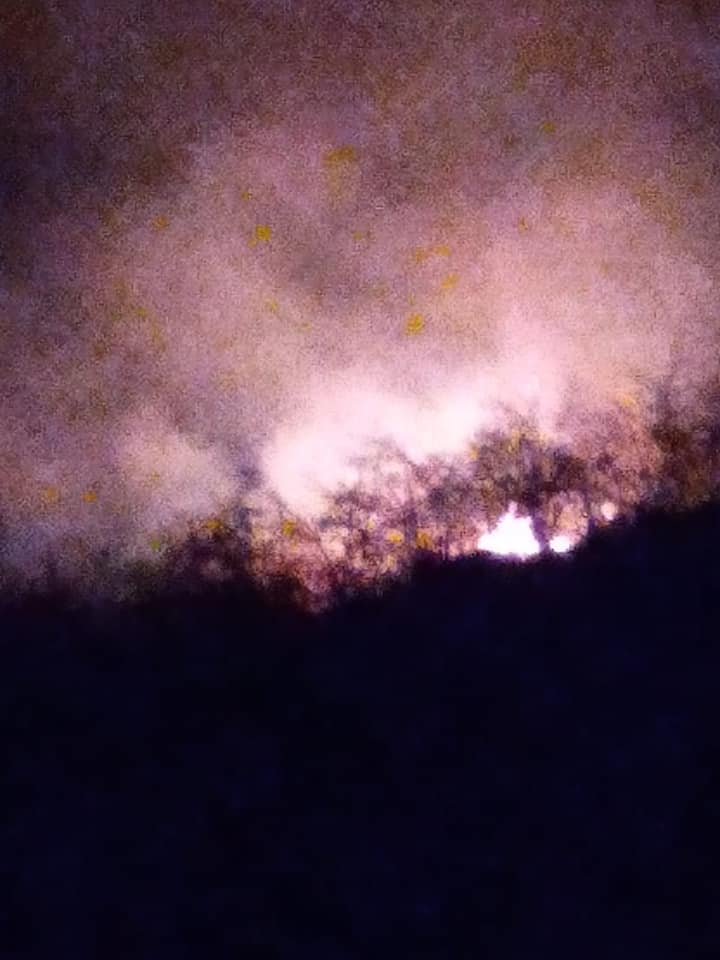 Fındık bahçelerinde yakılan temizlik ateşleri Ormanları