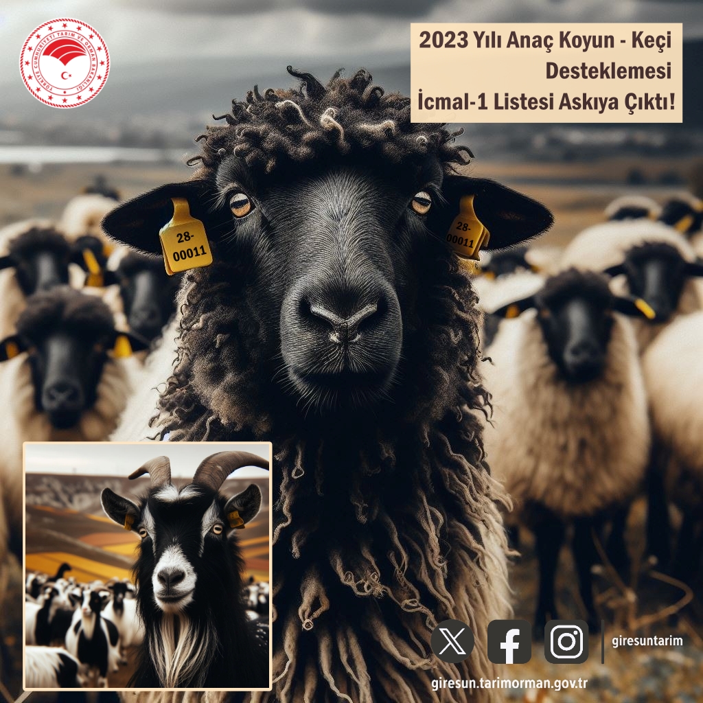 2023 Yılı Anaç Koyun Keçi Desteklemesi İcmal-1 Listesi Askıya Çıktı!