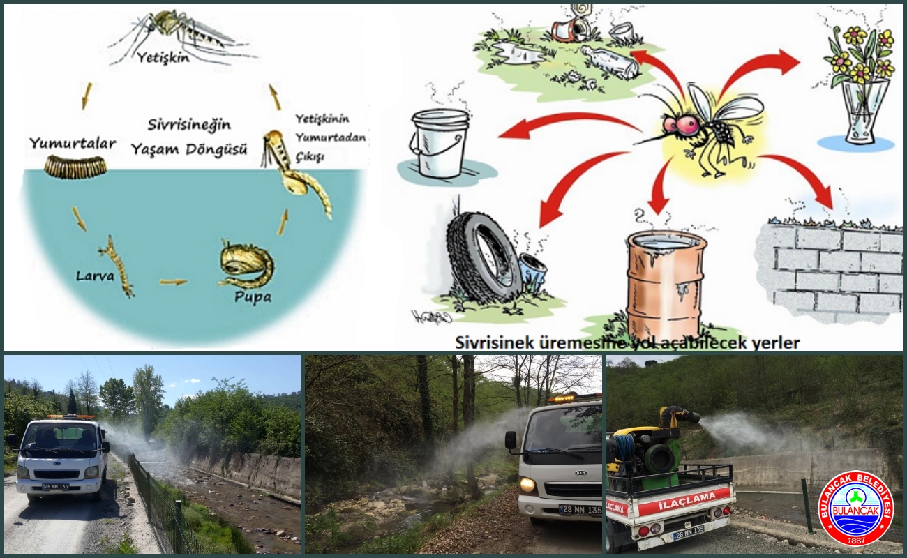 Sivrisinek ve haşerelere karşı Erken Larva Mücadelesi yapılıyor