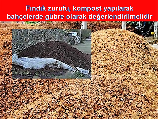 Fındık zurufu, kompost yapılarak bahçelerde gübre olarak