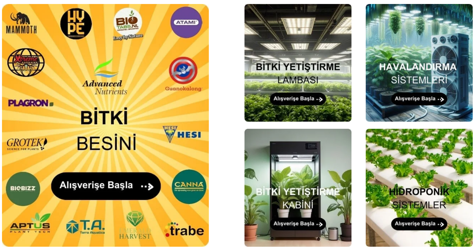 Kapalı Ortamda Verimli Bitki Yetiştirmek için 5 Etkili Yöntem