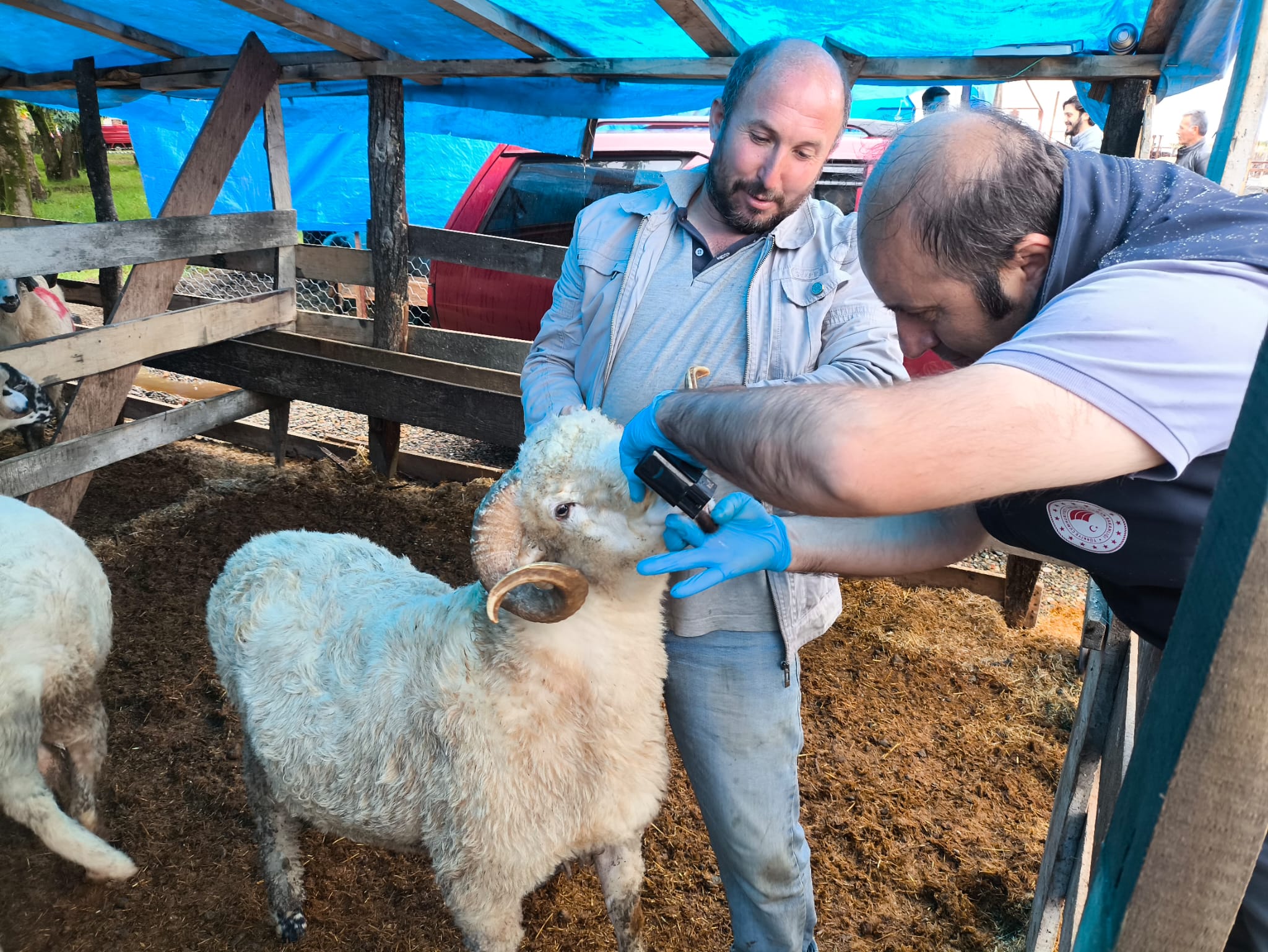 Kurban Satış Yerlerinde Gerekli Tedbirler Alınıyor