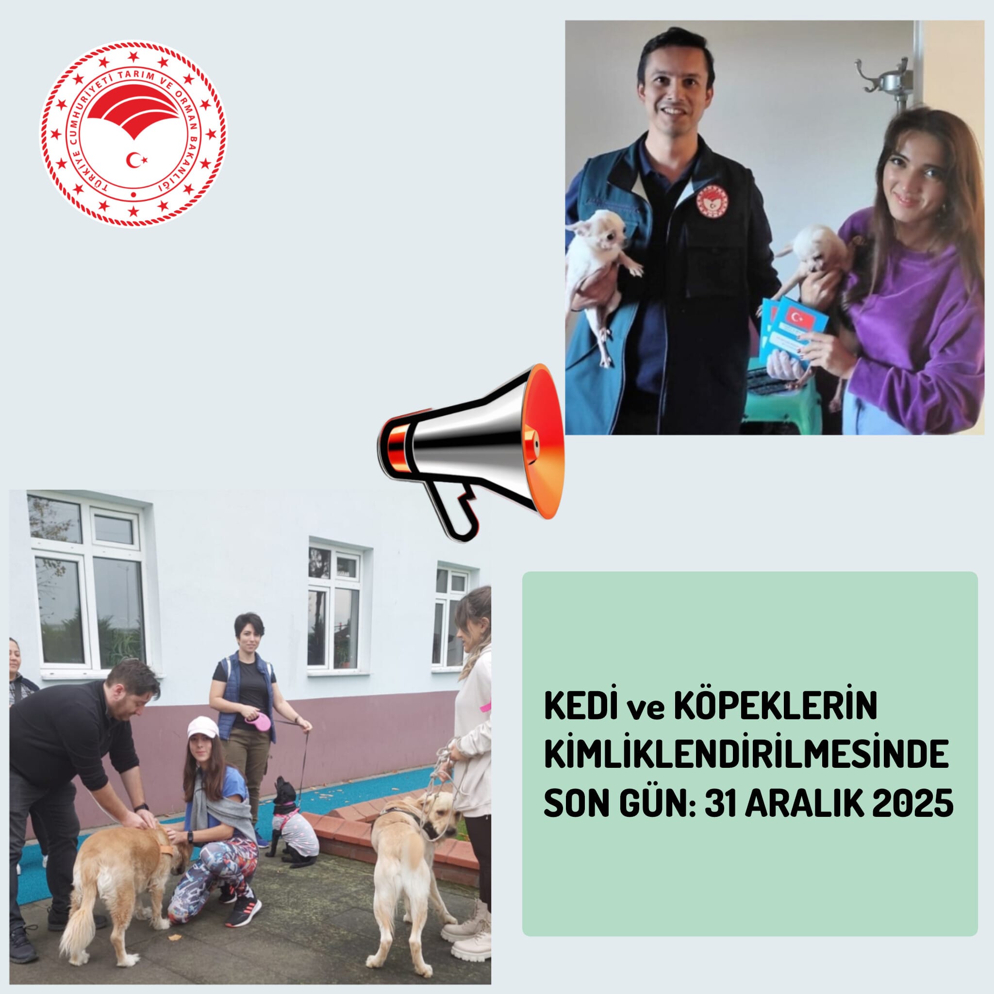KEDİ ve KÖPEKLERİN KİMLİKLENDİRİLMESİNDE SON GÜN: 31 ARALIK