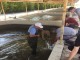 Kılıçkaya Baraj Gölünde Balıklandırma Çalışması Yapıldı