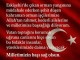 Demirden Eskişehirdeki Orman Yangını Şehitleri İçin Taziye Mesajı