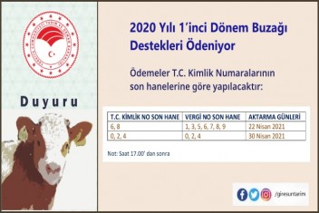 2020 Yılı 1’inci Dönem Buzağı Destekleri