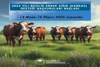 2024 Yılı Besilik Erkek Sığır (Karkas) Desteği Müracaatları