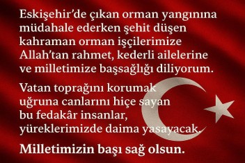 Demirden Eskişehirdeki Orman Yangını Şehitleri İçin Taziye