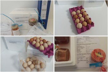 Çiftliklerden Numuneler