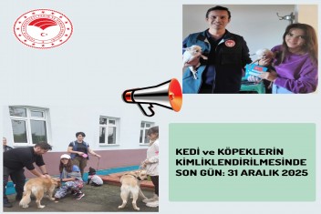 KEDİ ve KÖPEKLERİN KİMLİKLENDİRİLMESİNDE SON GÜN: 31 ARALIK