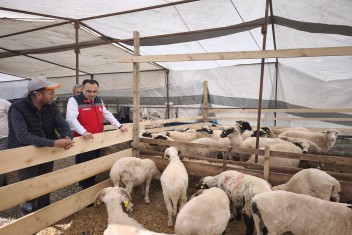 İl Müdürü Yılmaz Kurban Satış Yeri Denetimine