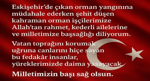 Demirden Eskişehirdeki Orman Yangını Şehitleri İçin Taziye Mesajı