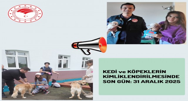 KEDİ ve KÖPEKLERİN KİMLİKLENDİRİLMESİNDE SON GÜN: 31 ARALIK