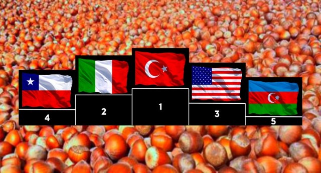 Fındık Üretiminde Lider Ülke,