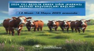 2024 Yılı Besilik Erkek Sığır (Karkas) Desteği Müracaatları
