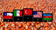 Fındık Üretiminde Lider Ülke,